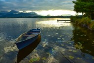 Rowing boat on Lake Hopfen in...