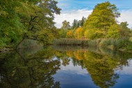 Pond at the edge of an autumn...