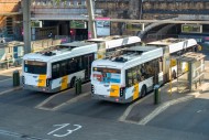 Two commuter buses at bus sto...