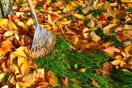 Autumn leaves cover the lawn,...
