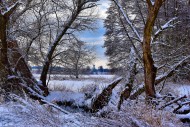 Winter floodplain landscape a...