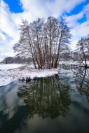 Winter floodplain landscape a...