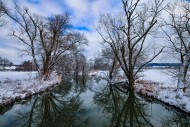 Winter floodplain landscape a...