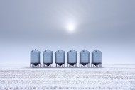 Row of grain bins / stainless...