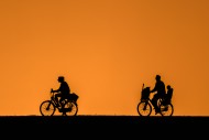 Cycling young parents with ch...