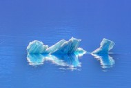 Ice floes drifting in the Arc...