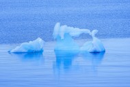 Ice floes drifting in the Arc...